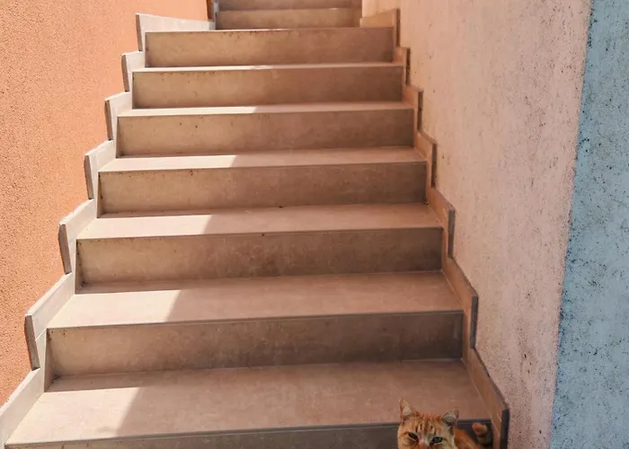 Near Centar For 2+1 At Pula, With Garden And Free Parking